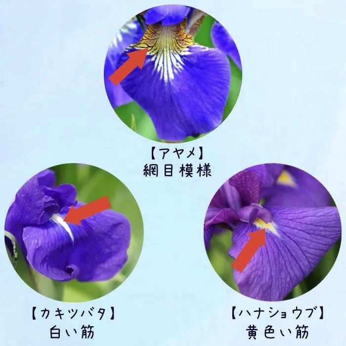 5_副本.jpg